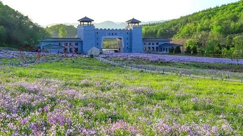 喜報！鳳城市大梨樹村再獲四項&ldquo;國字號&rdquo;榮譽