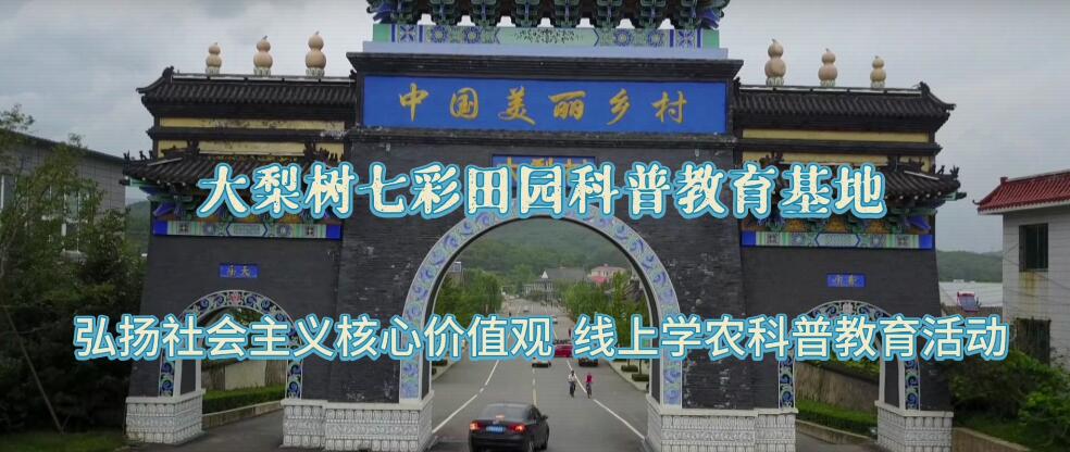 大梨樹七彩田園科普教育基地︱弘揚(yáng)社會(huì)主義核心價(jià)值觀開展線上學(xué)農(nóng)科普教育活動(dòng)